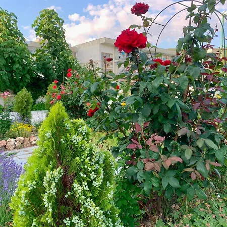 Maria Garden Hotel